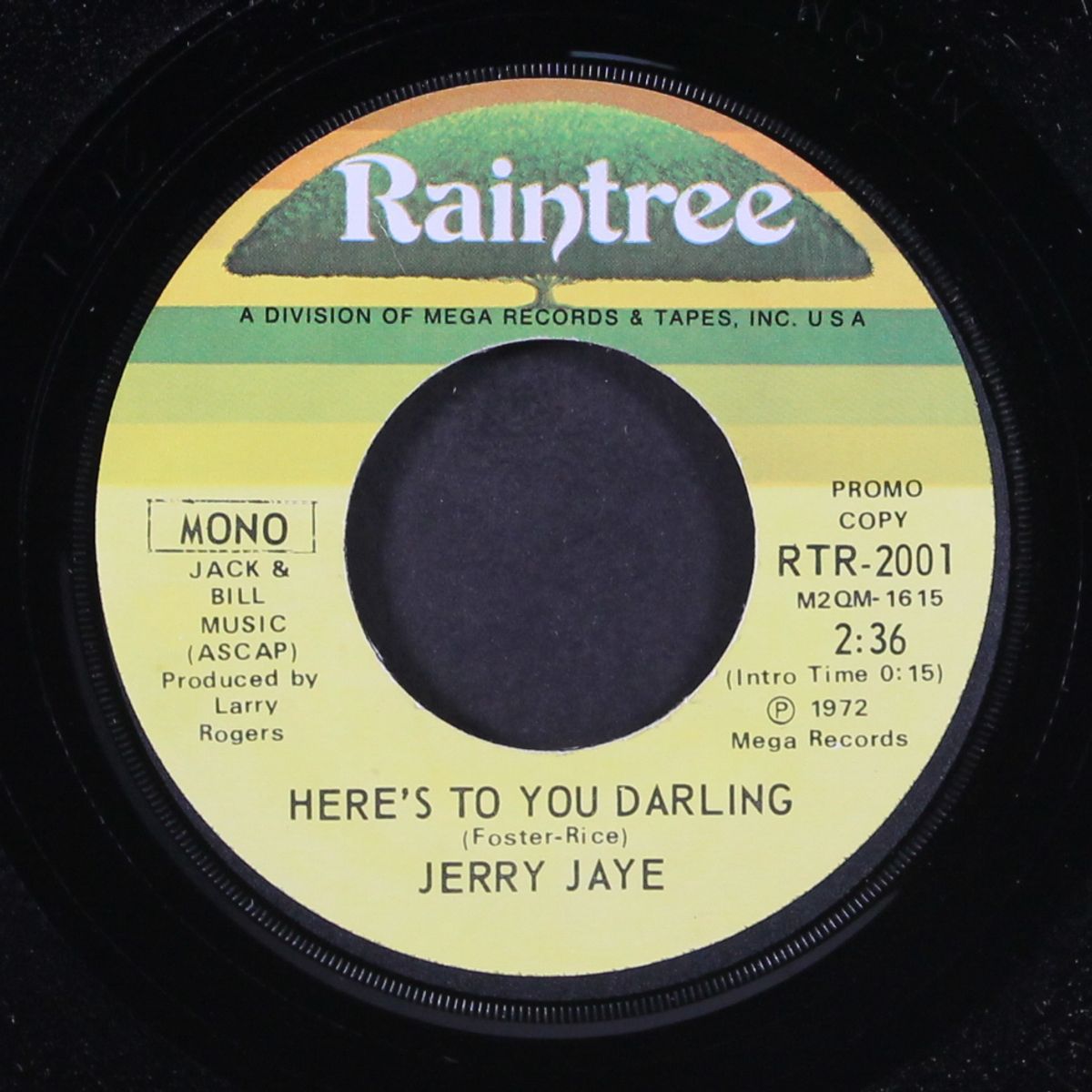 here's to you darling / mono by JERRY JAYE
