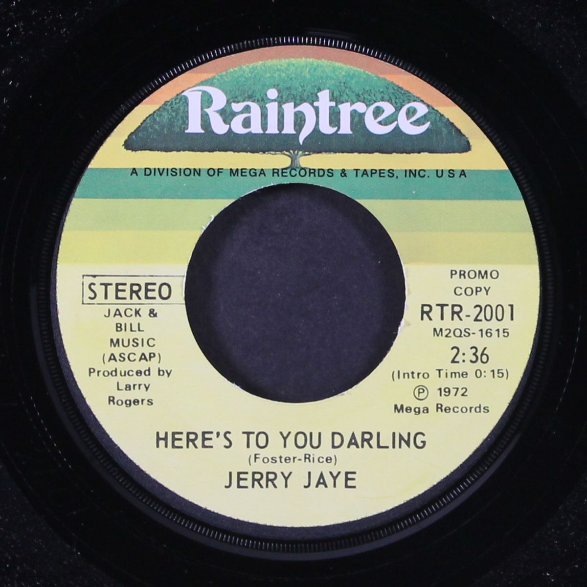 here's to you darling / mono by JERRY JAYE
