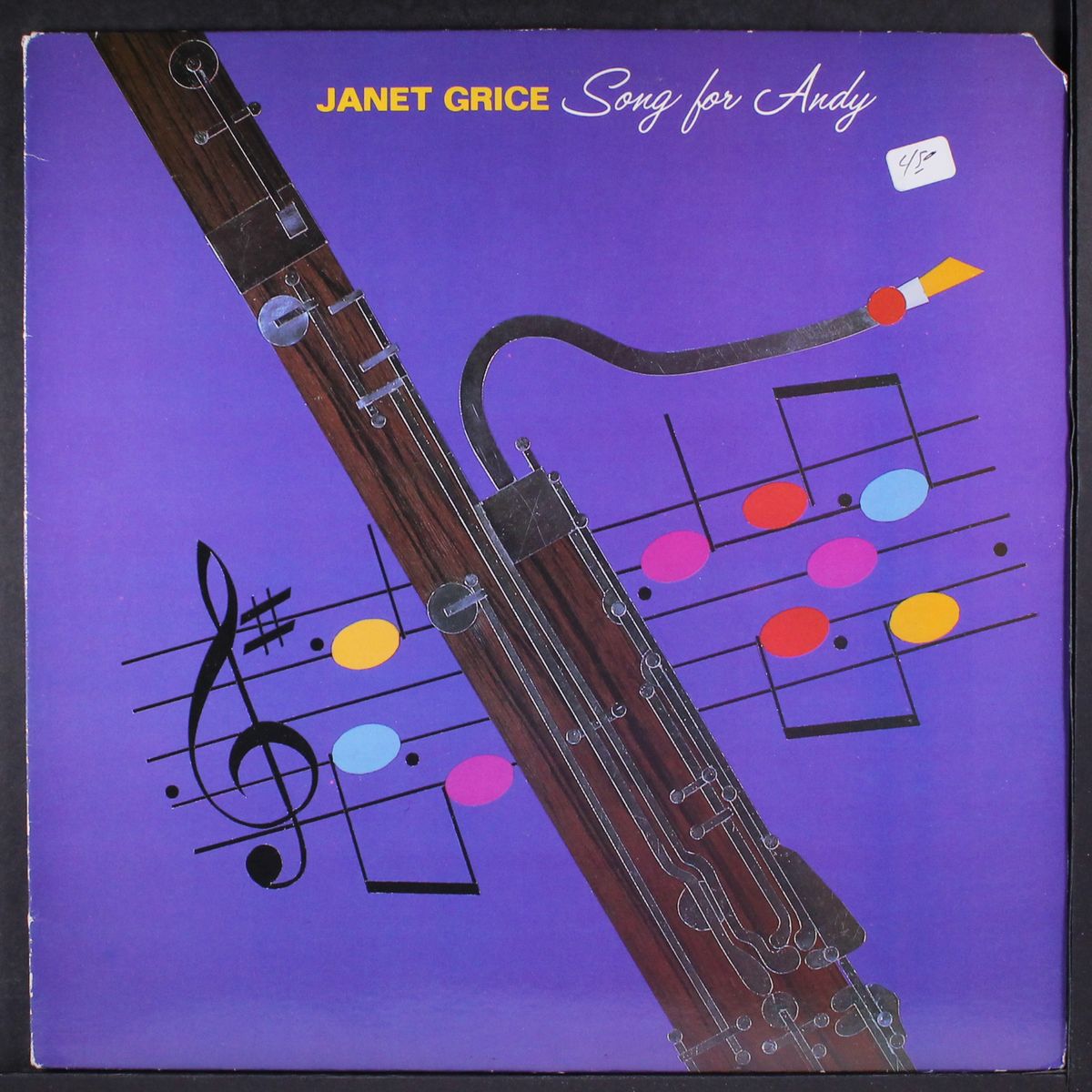 song for andy by JANET GRICE