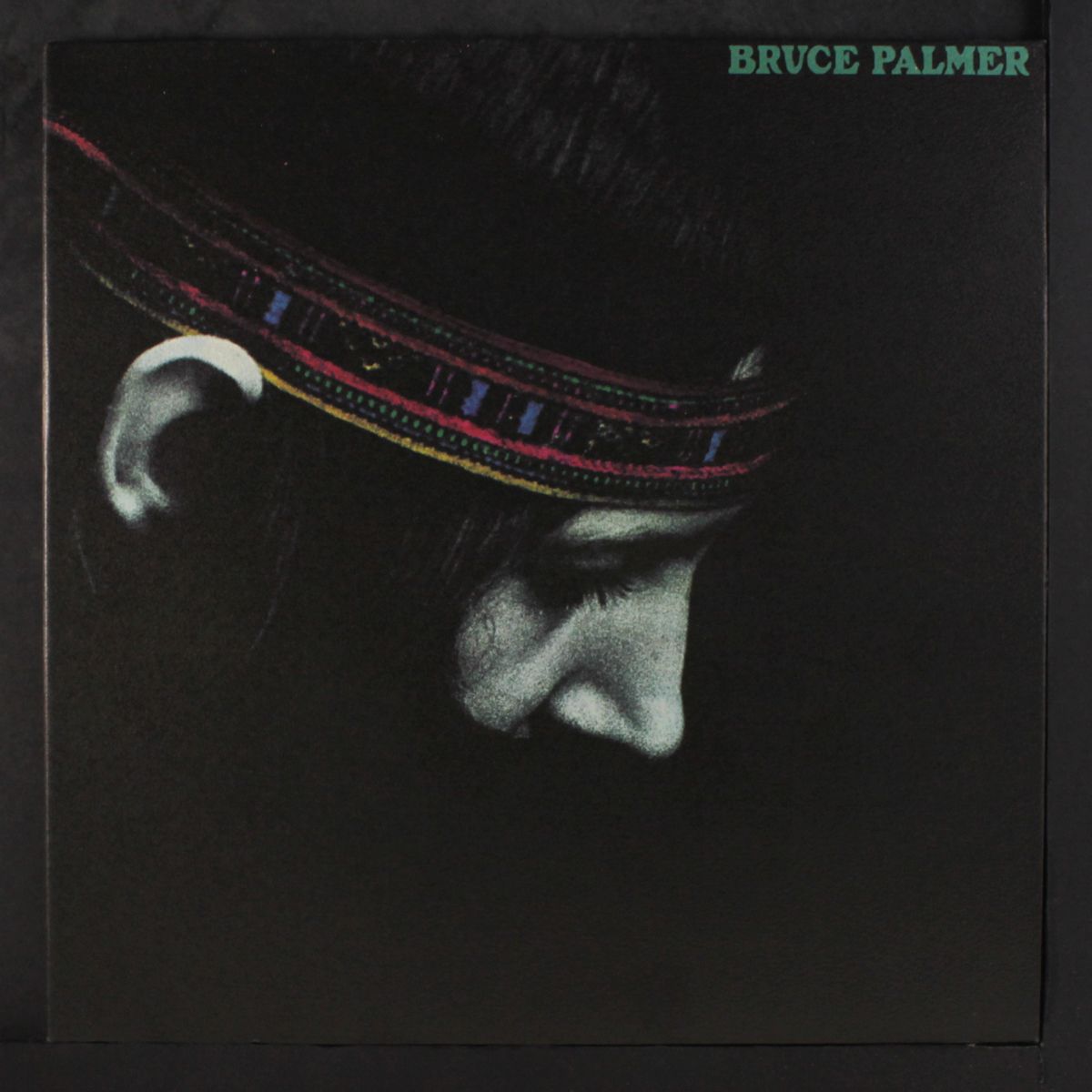 the cycle is complete by BRUCE PALMER