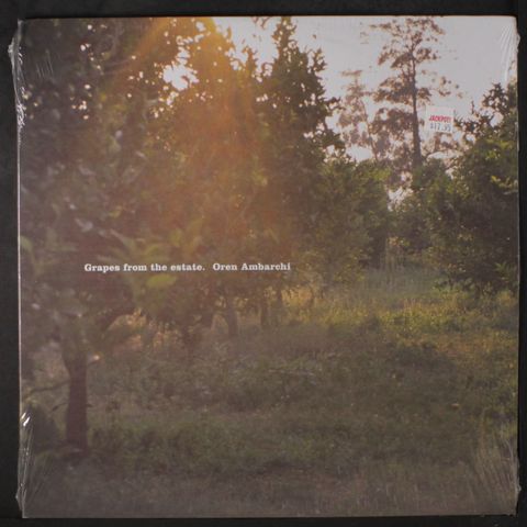 OREN AMBARCHI