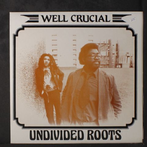UNDIVIDED ROOTS