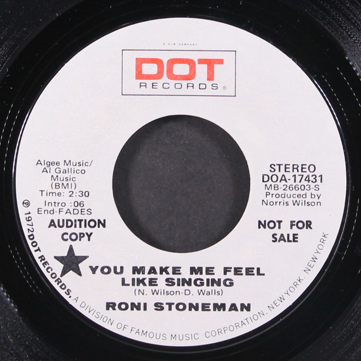 i'm gonna keep on loving him / you make me feel like singing by RONI STONEMAN