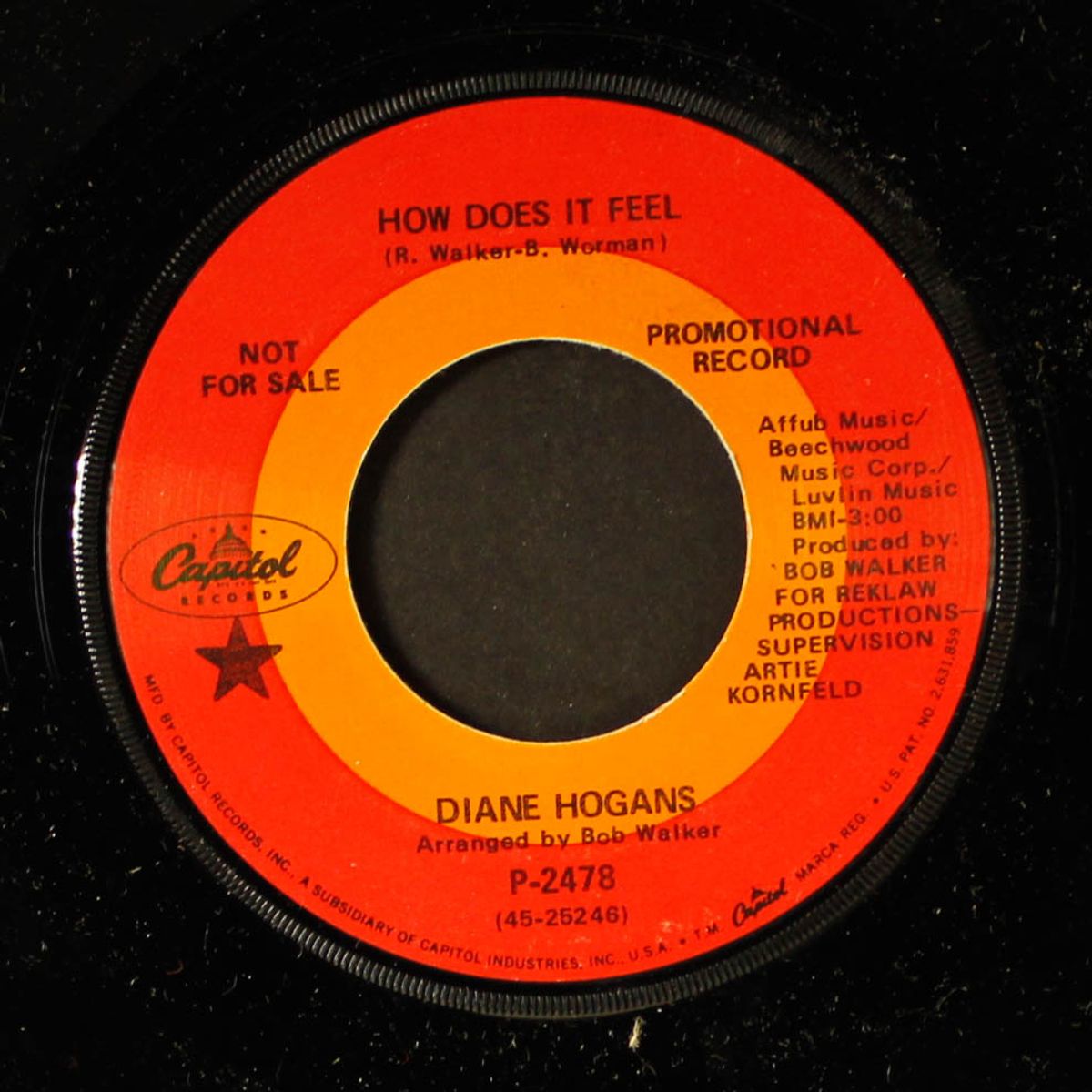 love is all around / how does it feel by DIANE HOGANS