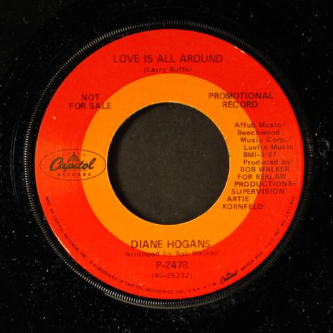 DIANE HOGANS