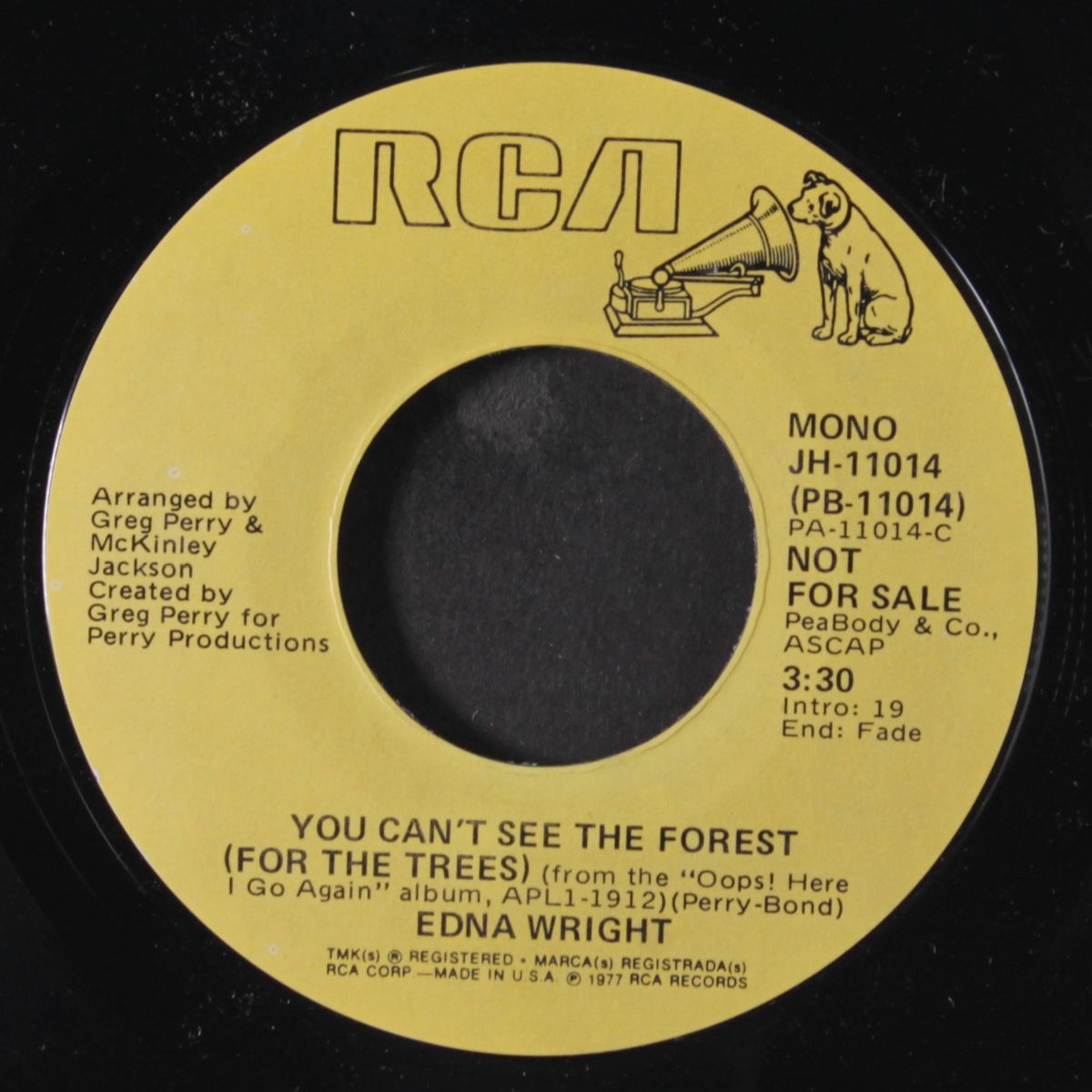 you can't see the forest / mono by EDNA WRIGHT