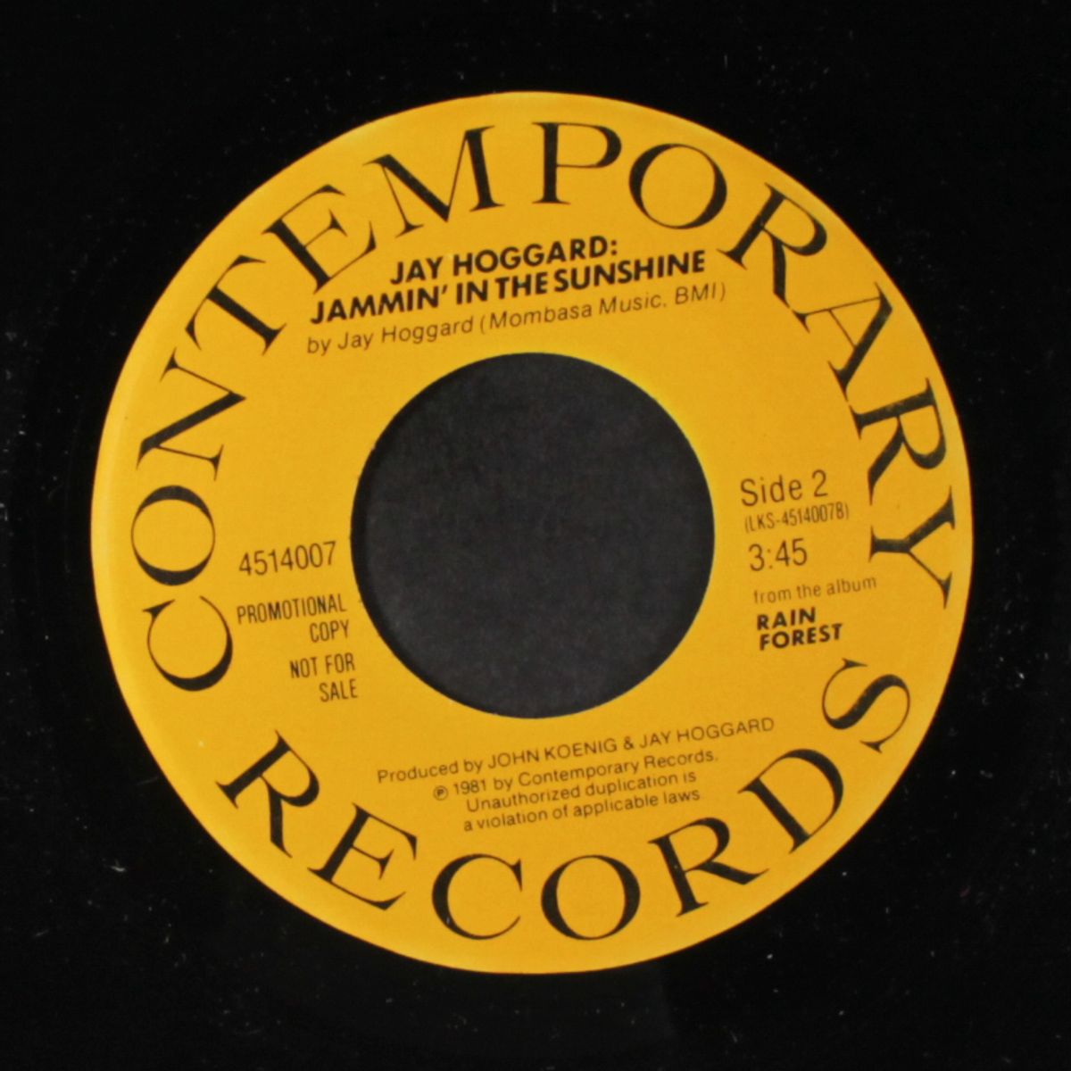 reverend libra / jammin' in the sunshine by JAY HOGGARD