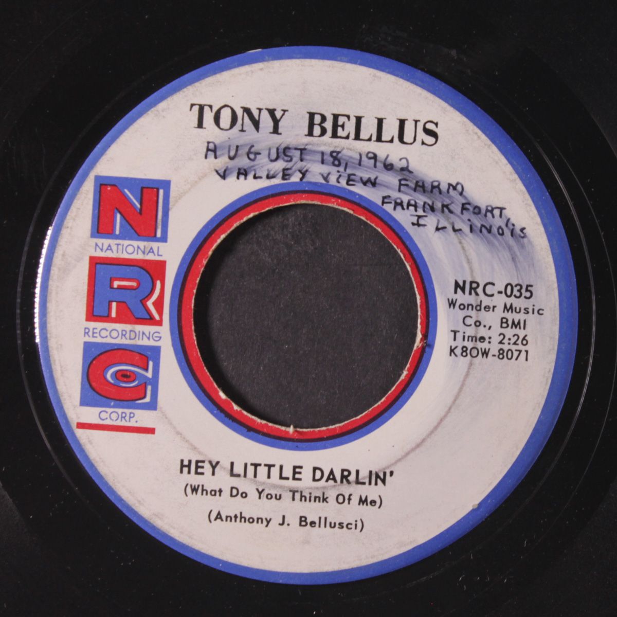 hey little darlin' by TONY BELLUS