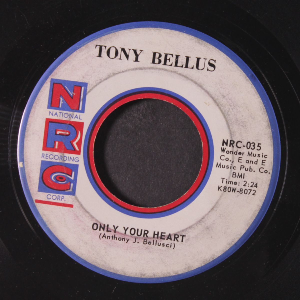 hey little darlin' by TONY BELLUS
