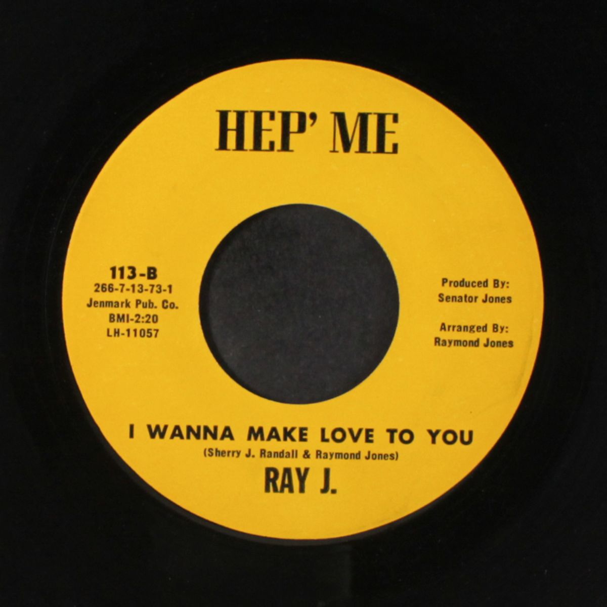 i wanna make love to you by RAY J.