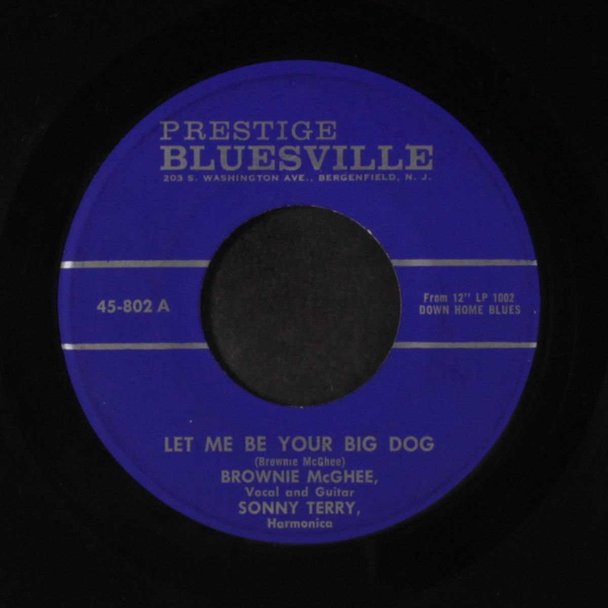 let me be your big dog by BROWNIE MCGHEE & SONNY TERRY