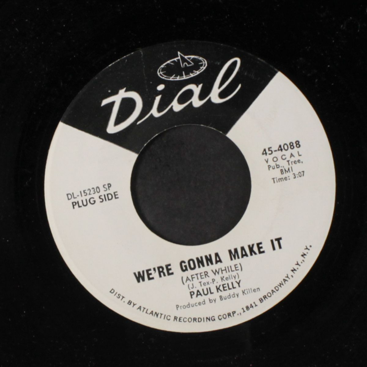 we're gonna make it / call another doctor by PAUL KELLY