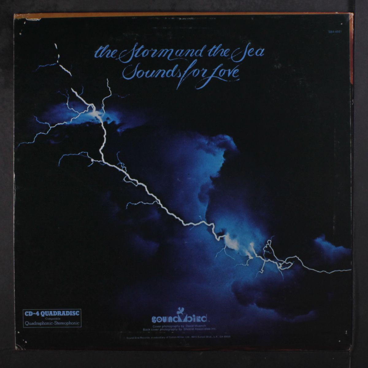 the storm and the sea by BRAD MILLER