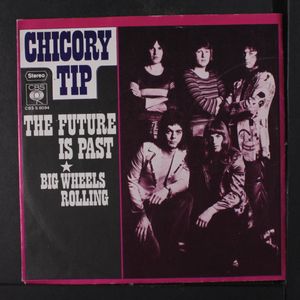 CHICORY TIP