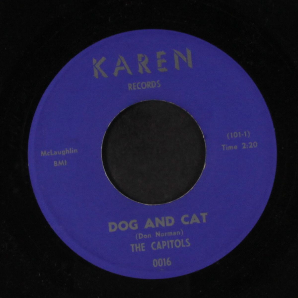 dog and cat / the kick by CAPITOLS