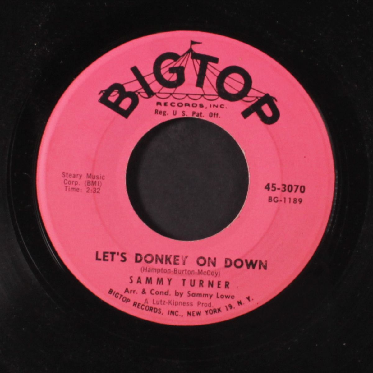 starlight, starbright by SAMMY TURNER