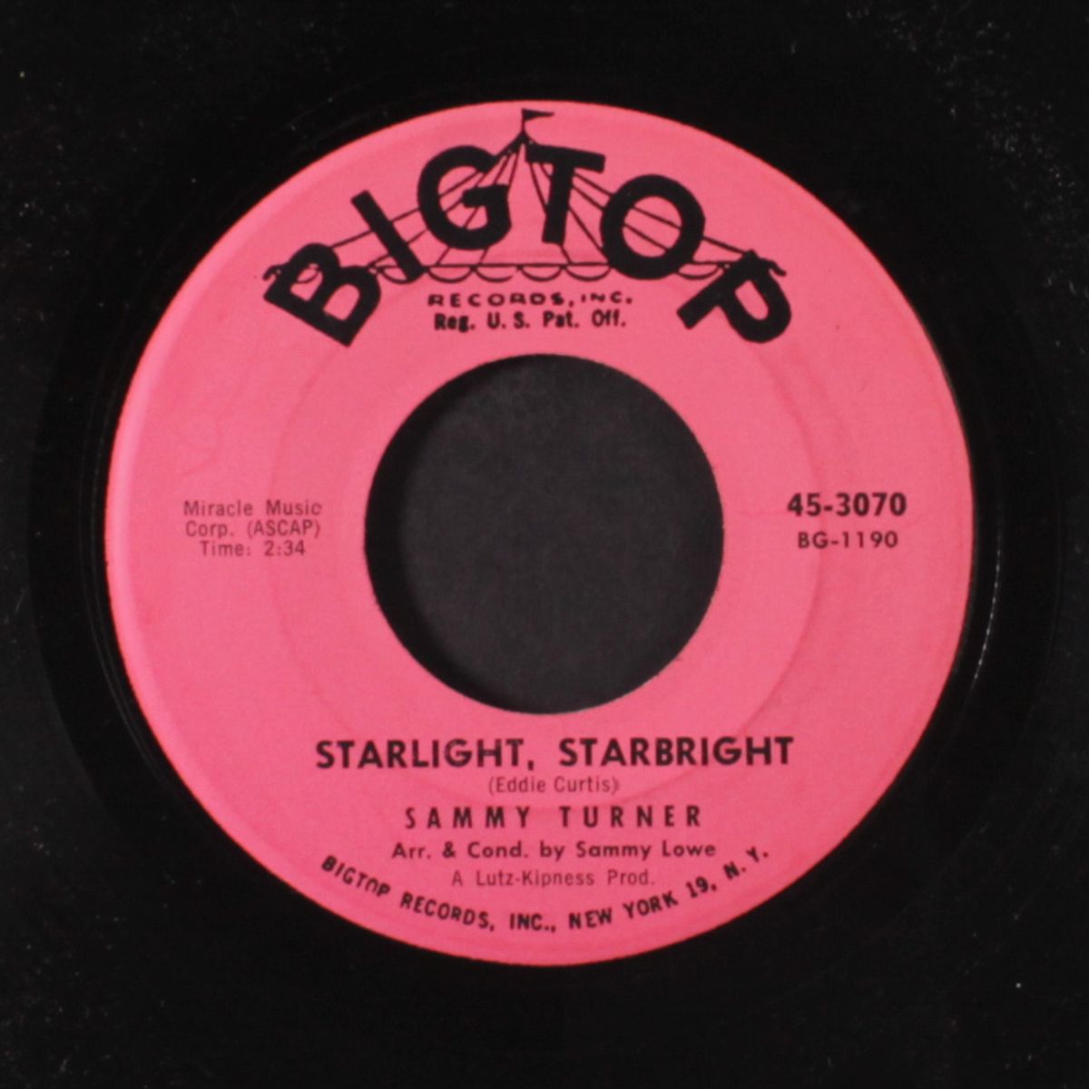 starlight, starbright by SAMMY TURNER