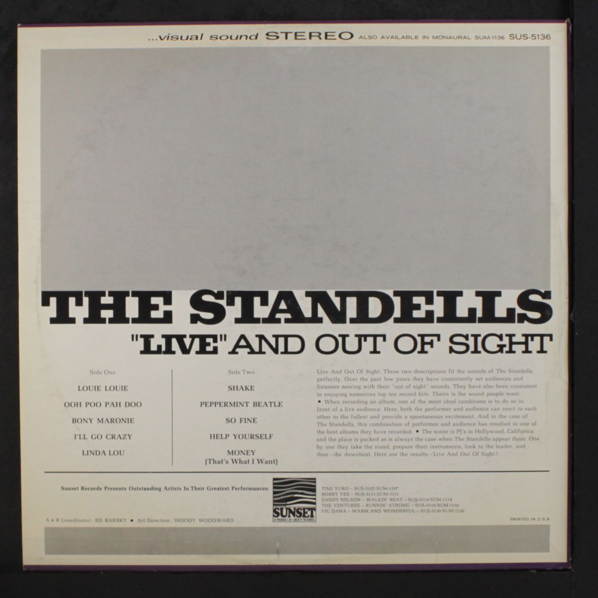live and out of sight by STANDELLS