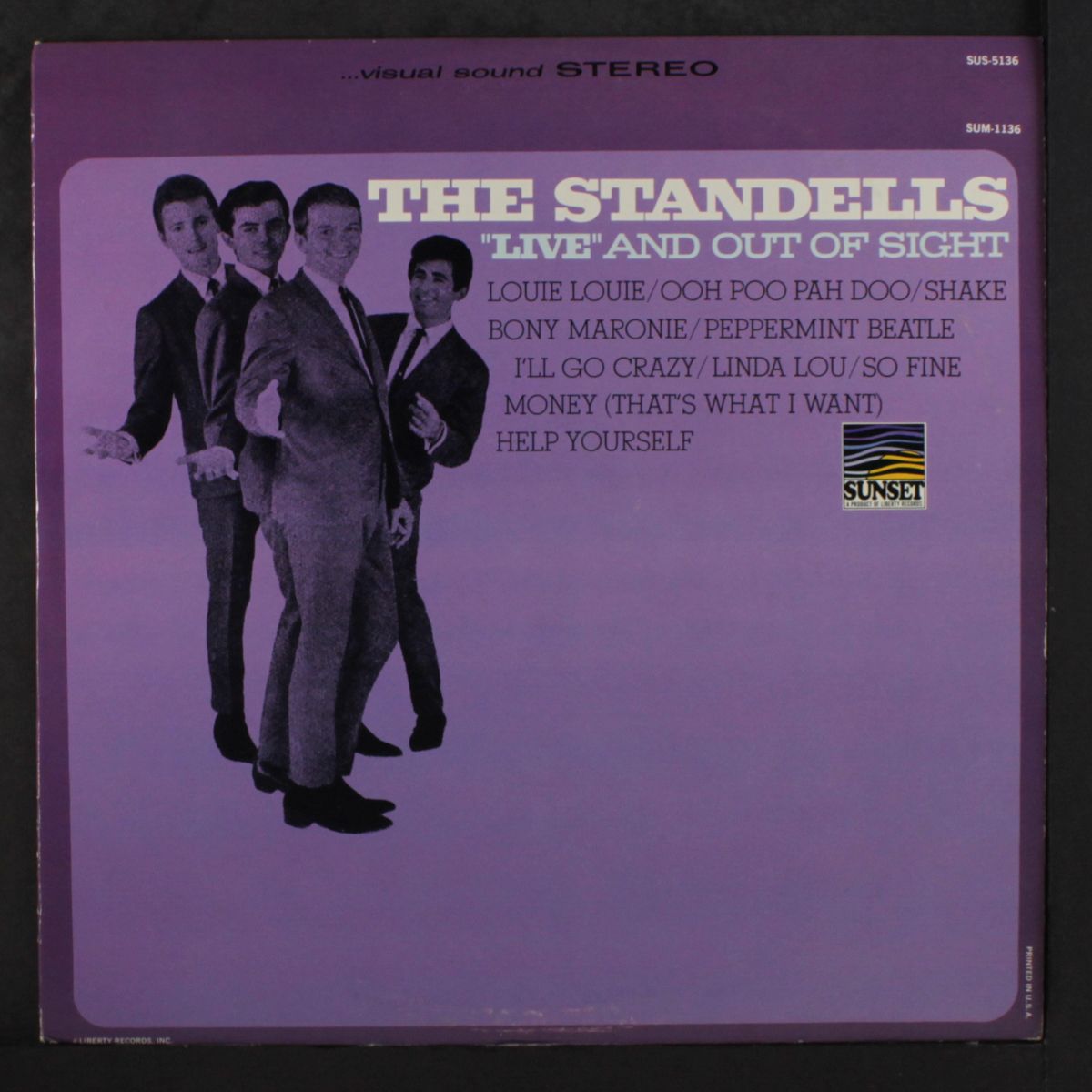live and out of sight by STANDELLS