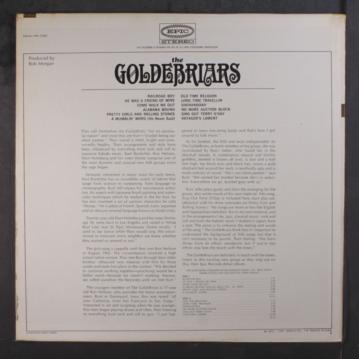 the goldebriars by GOLDEBRIARS