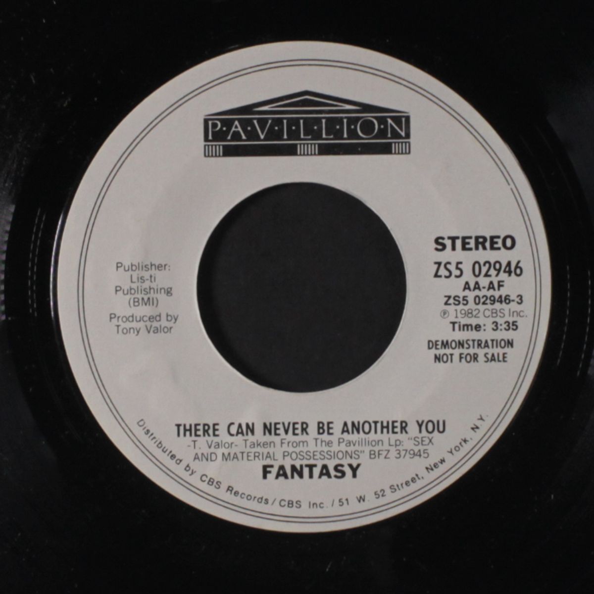 there can never be another you by FANTASY