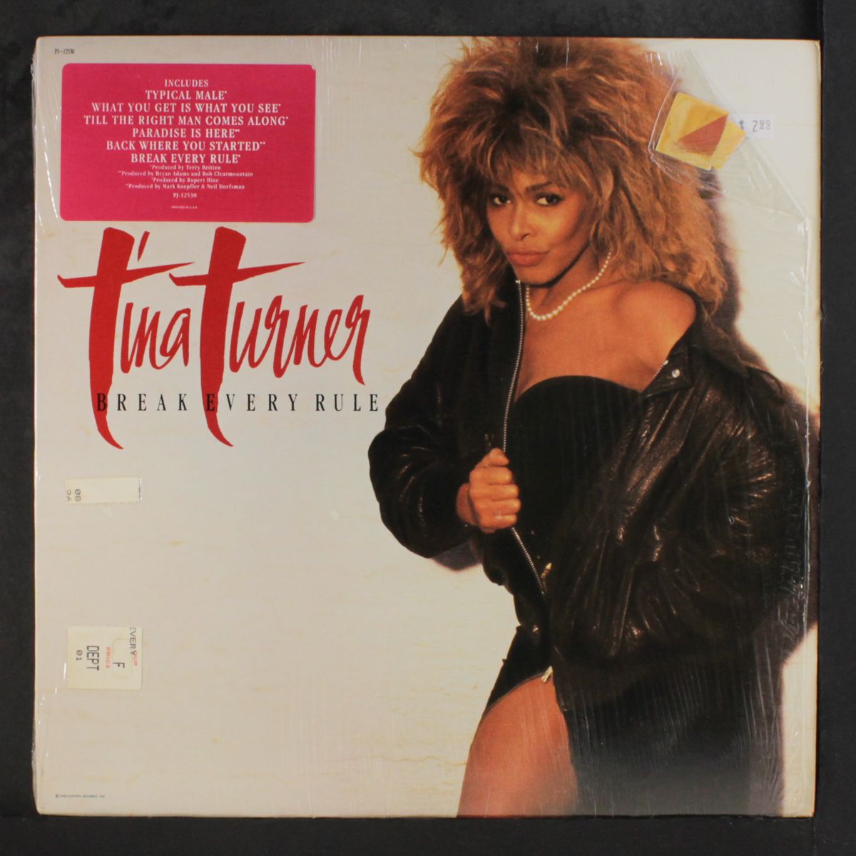 break every rule by TINA TURNER