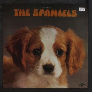 SPANIELS