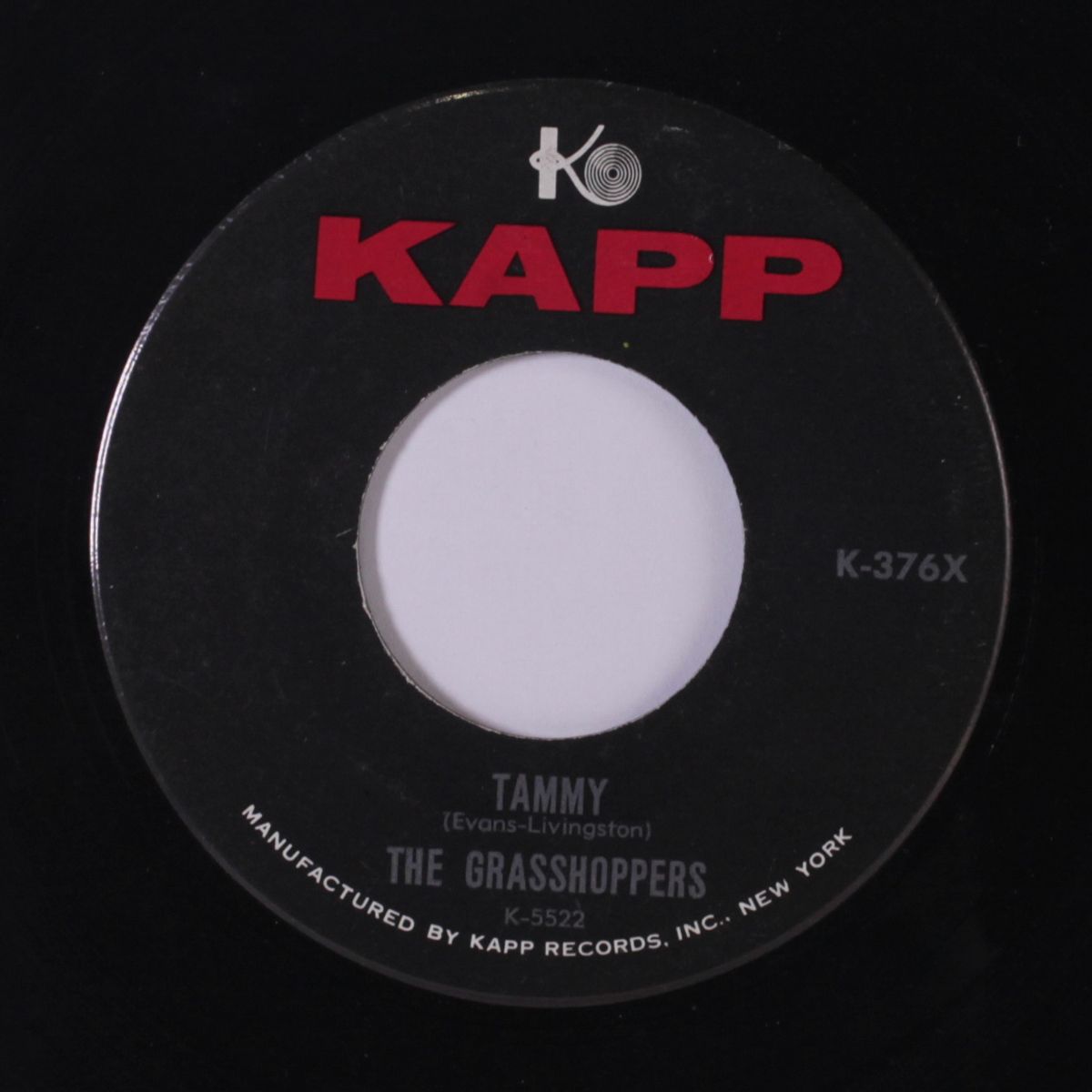 chewing gum / tammy by GRASSHOPPERS