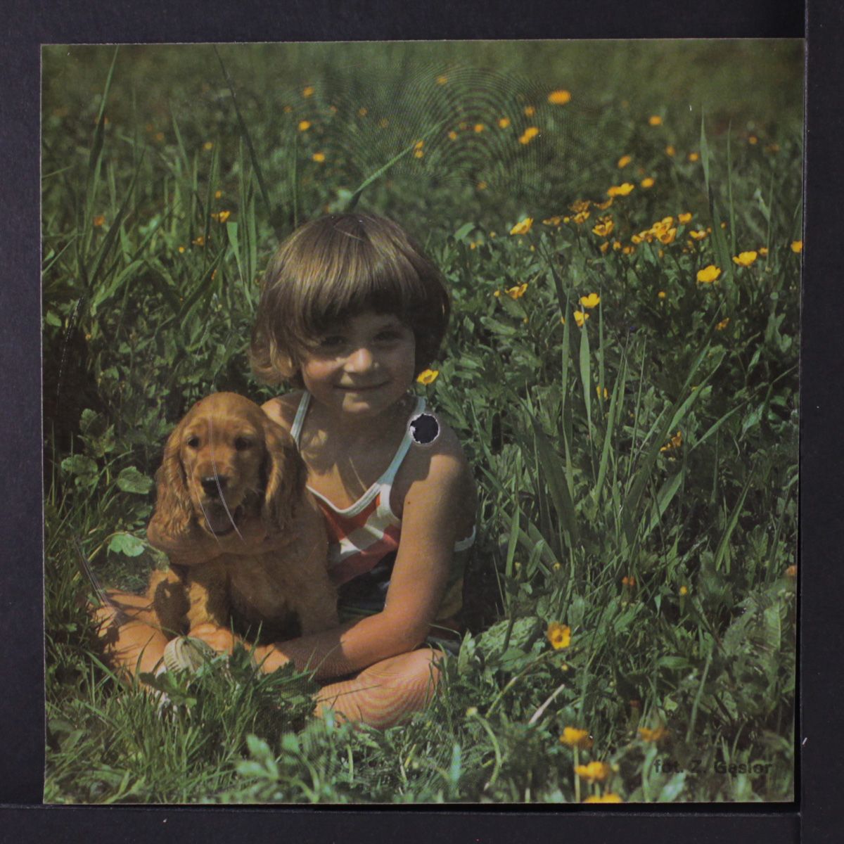 starting over / blank by JOHN LENNON