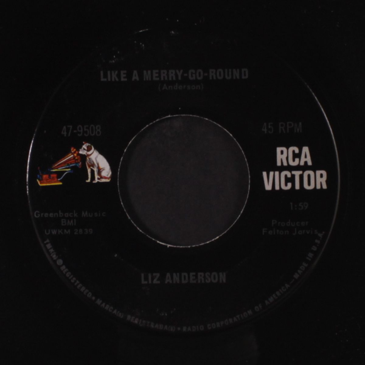 like a merry-go-round / thanks, but no thanks by LIZ ANDERSON