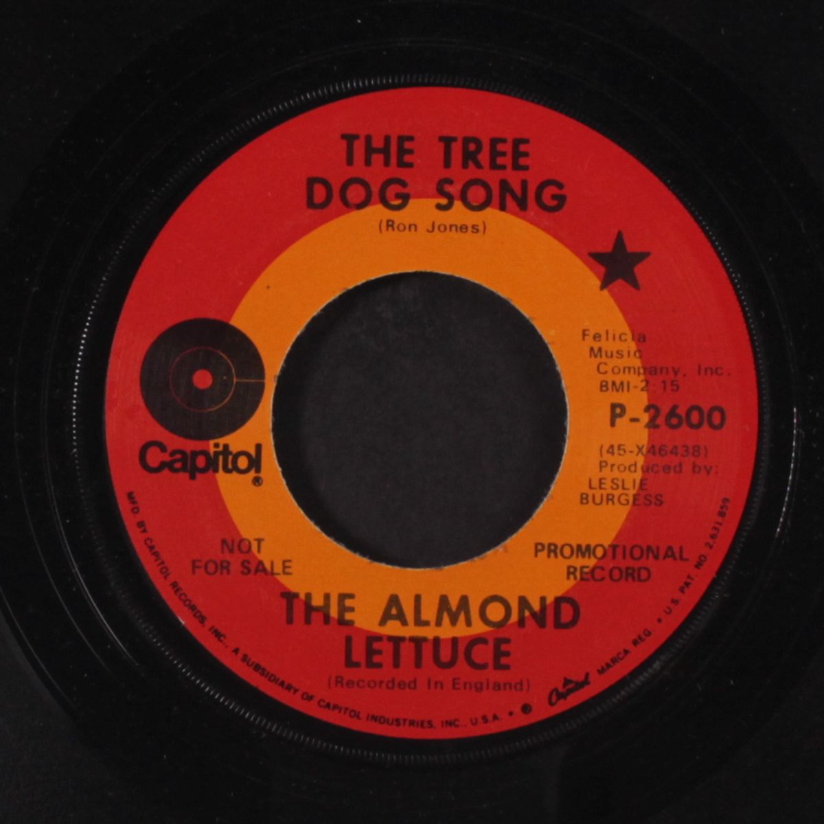 to henry with hope / the tree dog song by ALMOND LETTUCE