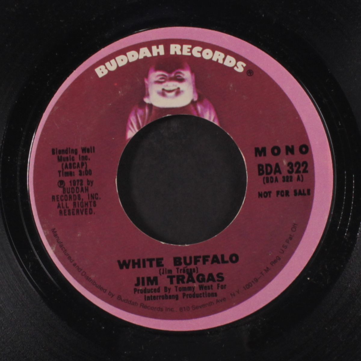 white buffalo / mono by JIM TRAGAS