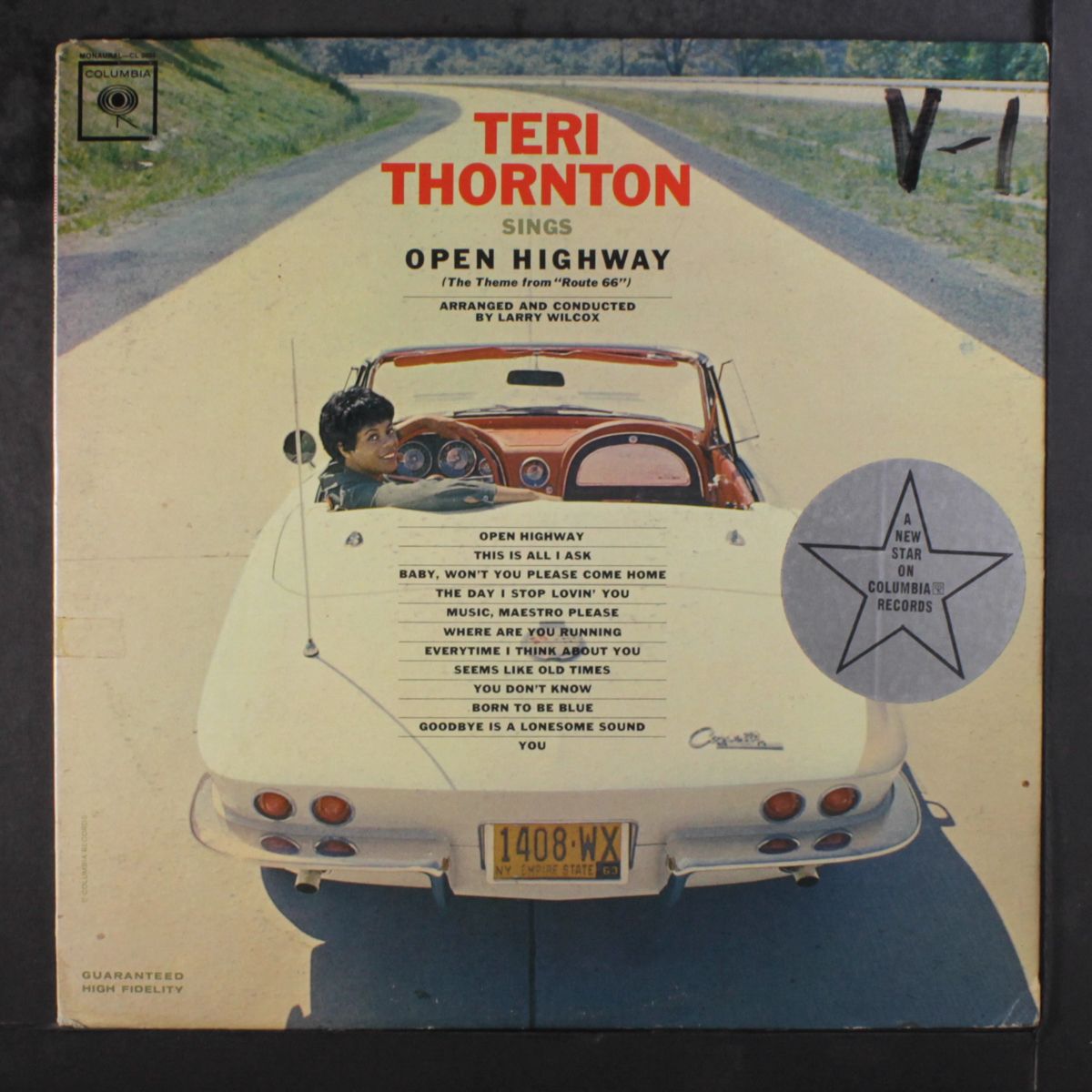 sings open highway by TERI THORNTON