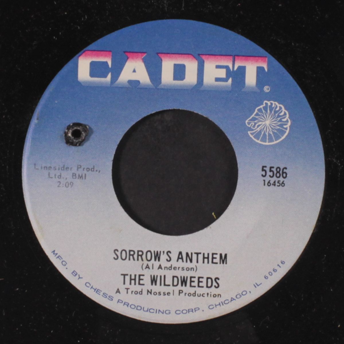 sorrow's anthem / it was fun by WILDWEEDS