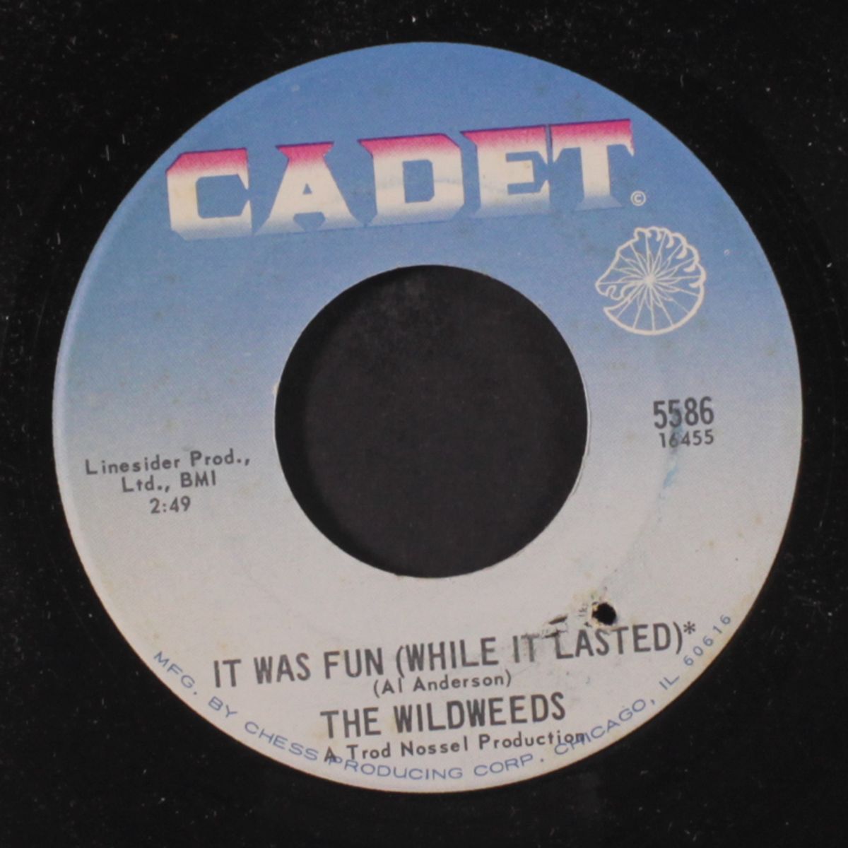 sorrow's anthem / it was fun by WILDWEEDS