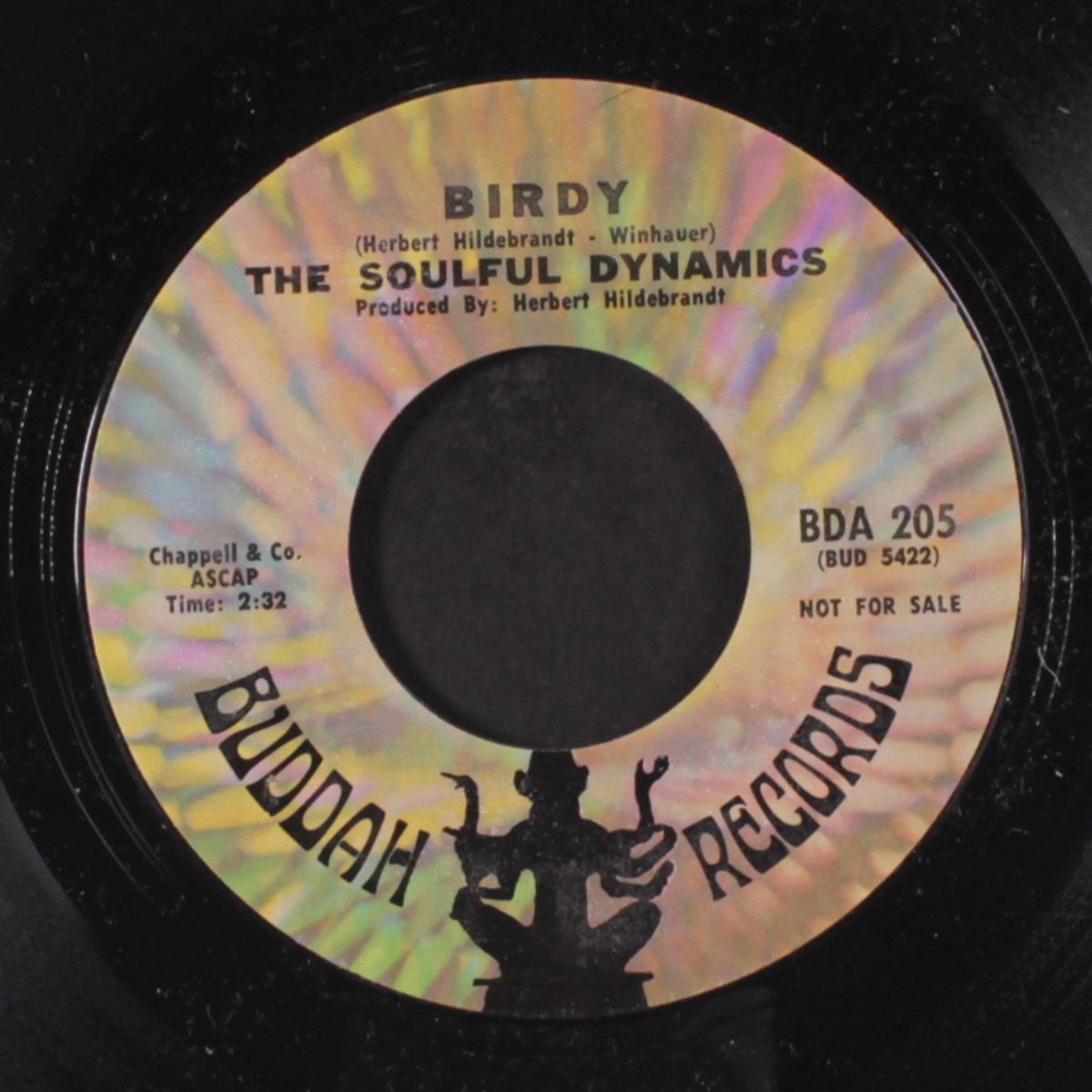 louisiana race / birdy by SOULFUL DYNAMICS