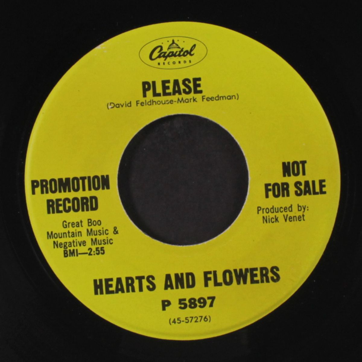 please / the view from ward 3 by HEARTS & FLOWERS