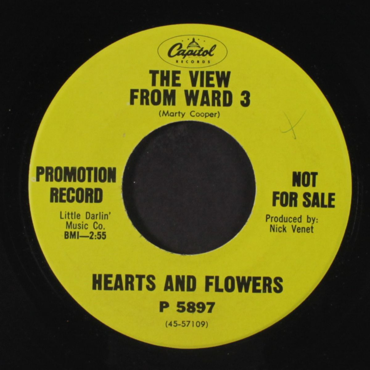 please / the view from ward 3 by HEARTS & FLOWERS