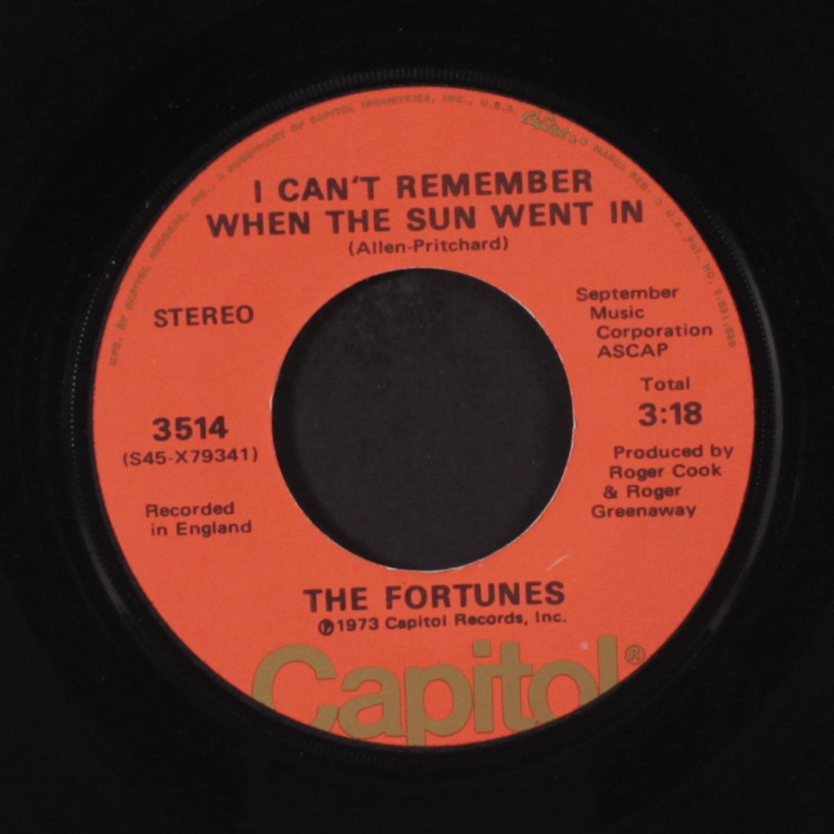 secret love / i can't remember when the sun went in by FORTUNES