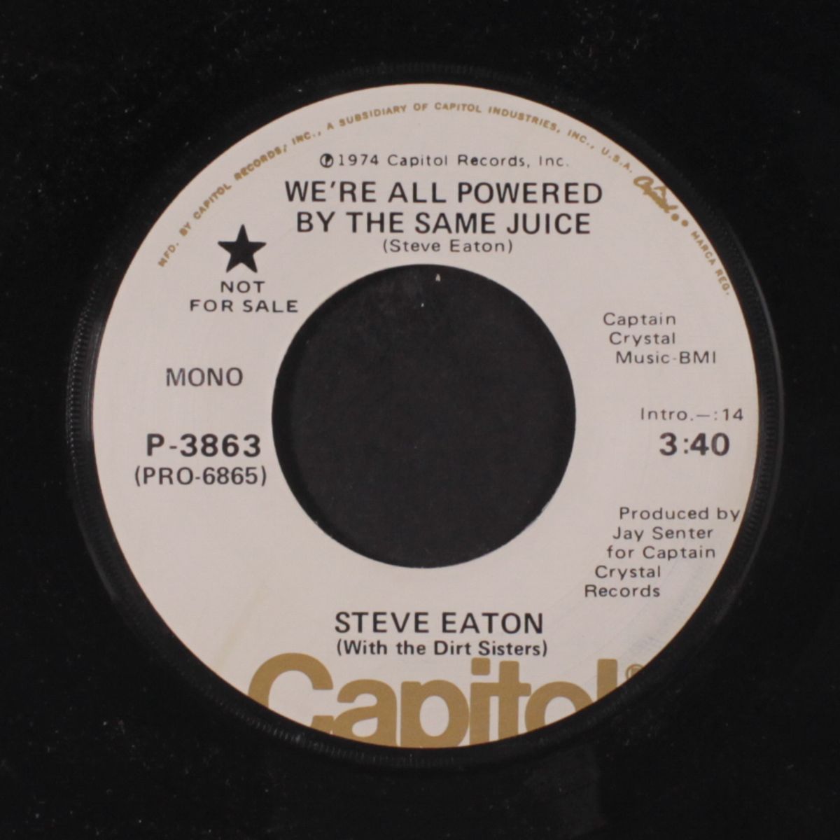 we're all powered by the same juice / mono by STEVE EATON