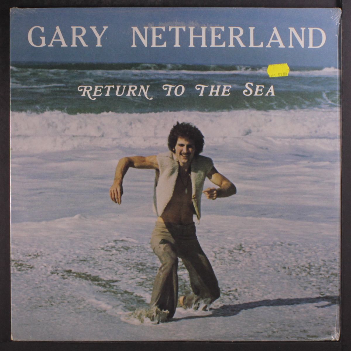 return to the sea by GARY NETHERLAND