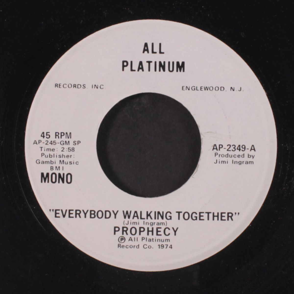 everybody walkin' together / same by PROPHECY