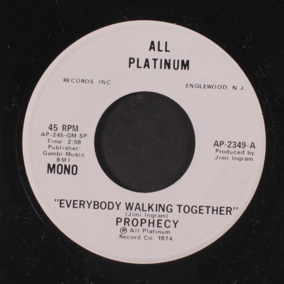 everybody walkin' together / same by PROPHECY