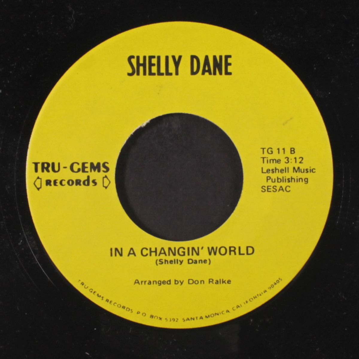 in a changing world / a little dab-a-lovin' by SHELLY DANE