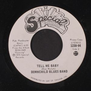 DOWNCHILD BLUES BAND