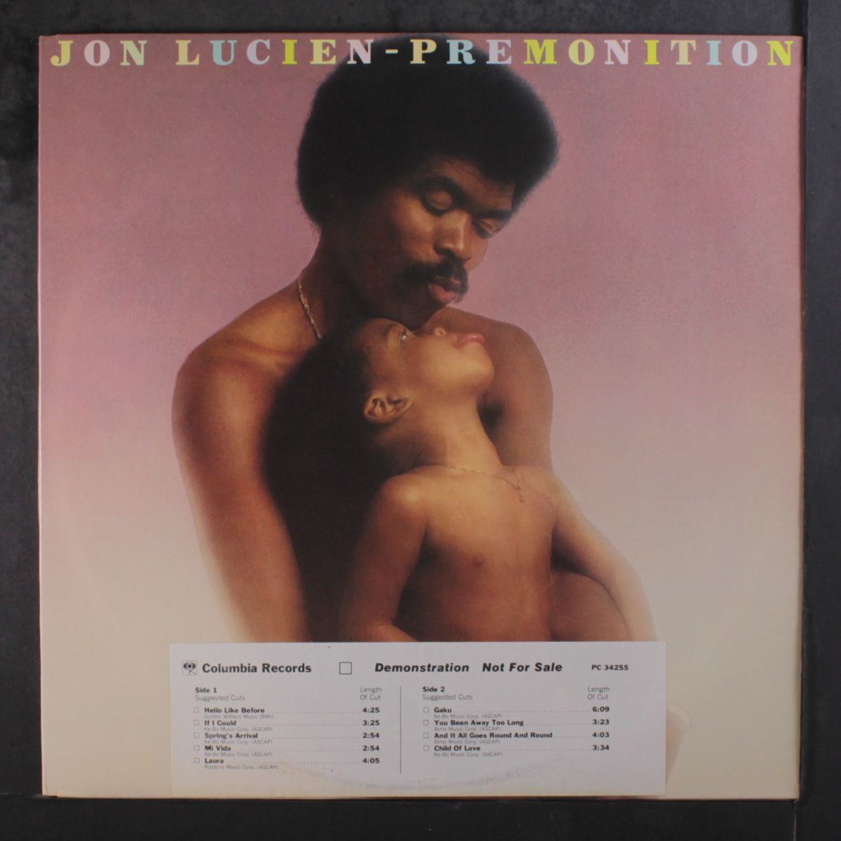 premonition by JON LUCIEN
