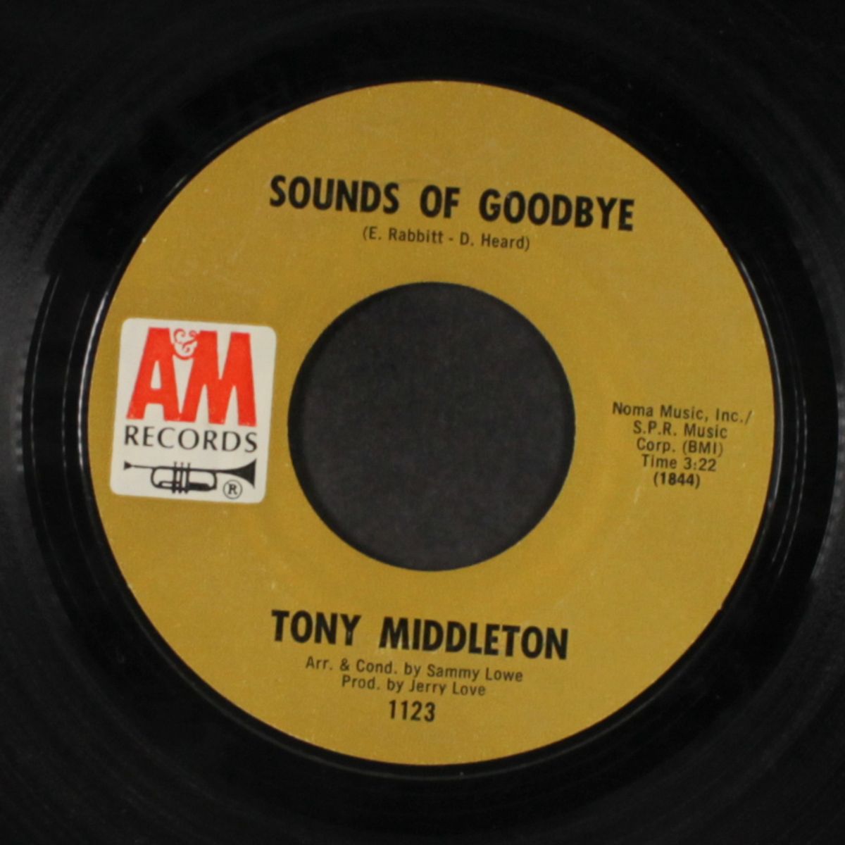 harlem lady / sounds of goodbye by TONY MIDDLETON