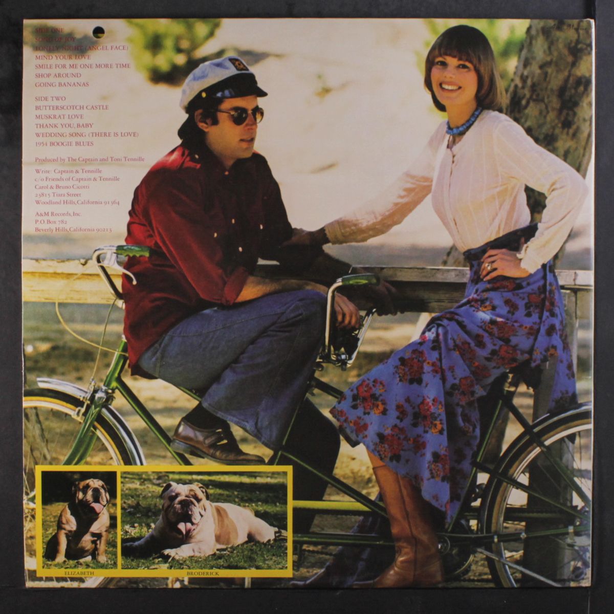 song of joy by CAPTAIN & TENNILLE