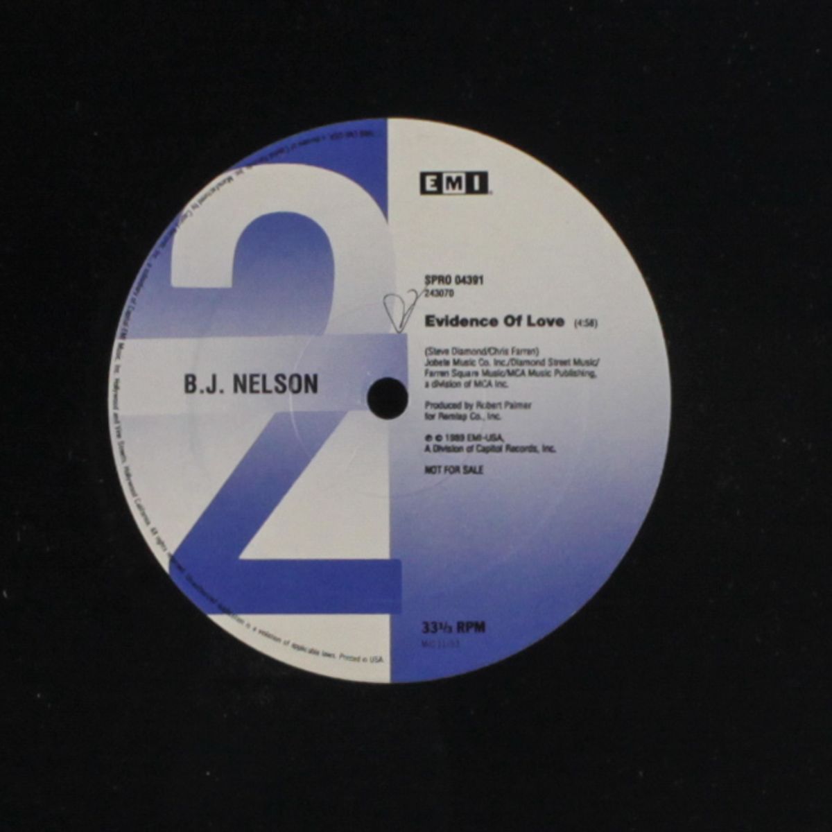 evidence of love by B.J. NELSON
