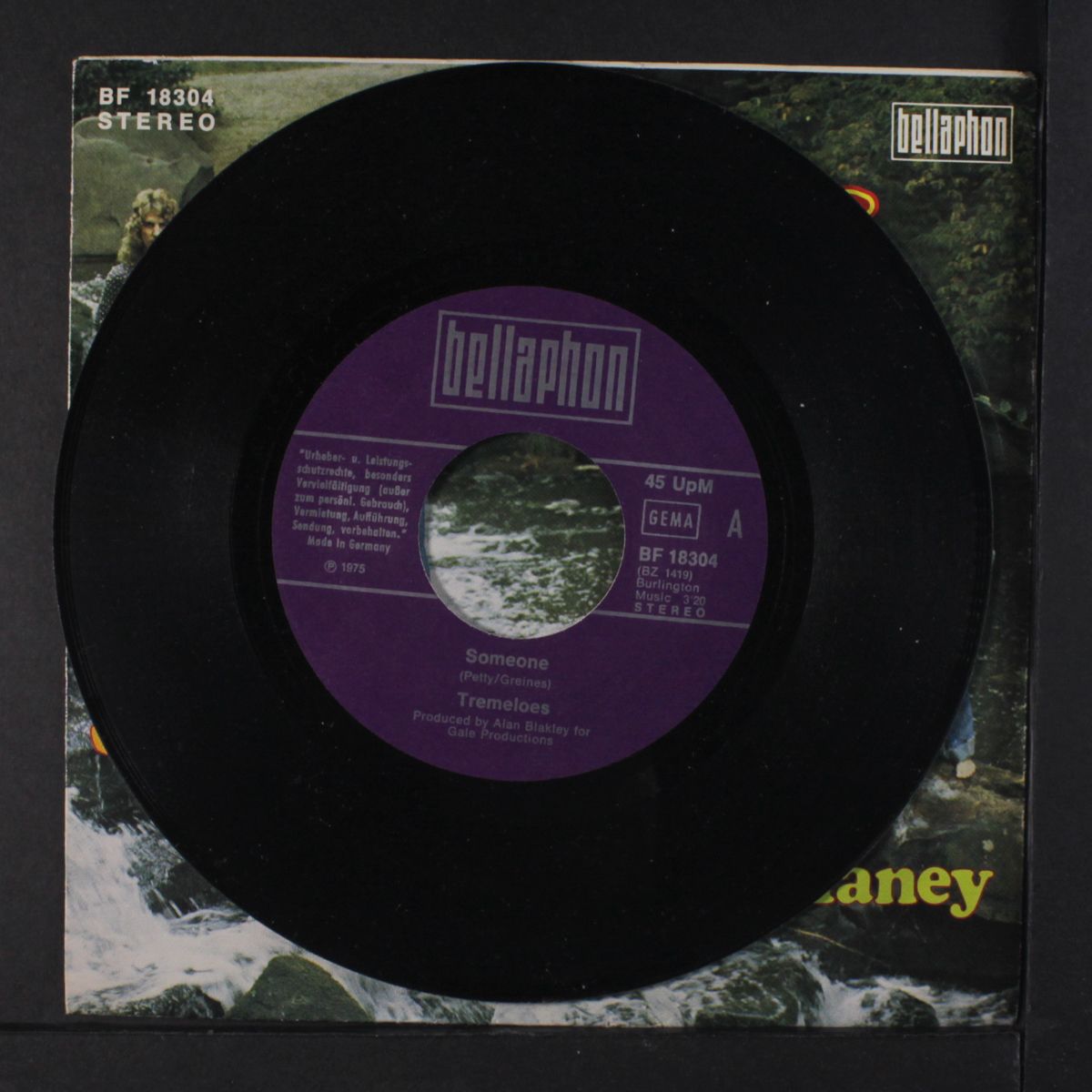 someone / my friend delaney by TREMELOES